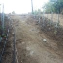 하늘나루 이미지