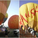 바다세상 이미지