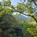 신흥1마을회관 이미지