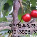 초이한우농장