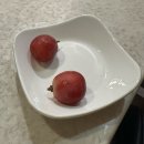 일식호림 | 서울 중구/평창동 :: 평창동 맛집 추천, 평창동 초밥 [호림스시]