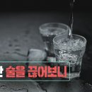 3주간 술을 끊어보니 이미지