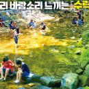 수락중고등학교 버스정류장(11204) | 서울 근교 여름 피서지 노원 수락산 벽운계곡 물놀이 장소 추천