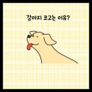 진안동물병원 네이버블로그