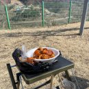 만춘향 | [예천 곤충나라사과테마파크오토캠핑장] 벌써 2번째 방문 feat. 따뜻한 사장님