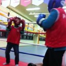 푸노키즈복싱 이미지