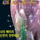 그린옐로우 Daum카페