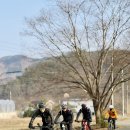 수철리 이미지