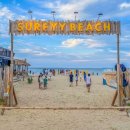 새천년농장 | 강원도 여행지 추천 TOP 10 ⛰️🌊