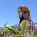 대지-생명 이미지