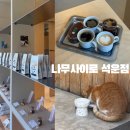 나무사이로 | 분당 애견동반 카페 추천｜나무사이로 석운점 분위기 &amp; 커피 후기
