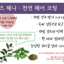 퀸즈헤나체험교실