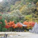 고라데이민박 이미지