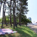 웅천친수공원 이미지