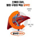 엘비영 | 아르기닌함유 대웅생명과학 마시는 알부민 8899 프리미엄 골드 특허원료2종 33g 60개 이용후기