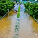 경기북부 '폭우'…전철지연·국도침수 등 큰 불편 이미지