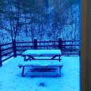 태백고원자연휴양림 자동차야영장 이미지