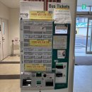 유스퀘어 버스터미널 관광안내소 | [일본/대마도] 히타카츠-이즈하라 버스 탑승 후기 및 장소, 버스 1일권 티켓 가격