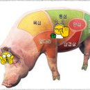 소양인과 돼지고기 찰떡궁합.. 이미지