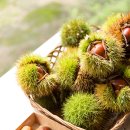 밤에 먹어야 맛있는집 이미지