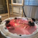 8그램 스파＆풀빌라 키즈펜션 이미지