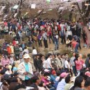 사풍정감 이미지