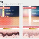 세컨드 웨이 이미지