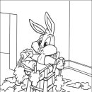 베이비루니툰 이미지