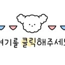 (주)실론투어
