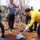 일로전통시장 이미지