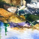 대양유화 이미지