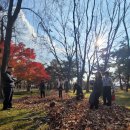 물안개 피는 마을,들꽃향기 | 천주교 서울 명륜동 성령선교수녀회 선교영성센터 피정 2025. 11. 22. ~ 23.