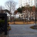 강남-214 이미지