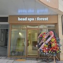 디엠스파