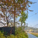 미륵산 자연학교 이미지