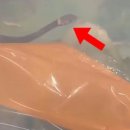 고향마트 이미지