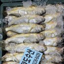 무안세발낙지 이미지