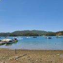 가고파식당 이미지