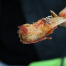 홍게랑 대게랑 이미지