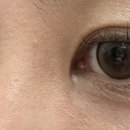 세명대구내안경 위드렌즈 이미지