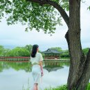 부여 가볼만한 곳 궁남지, 낮과 밤 모두 담은 부여 10경 야경 명소