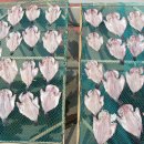 흑산홍어 - 영등포구 선유로 259 | 흑산홍어
