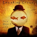 Counting Crows - Colorblind 이미지
