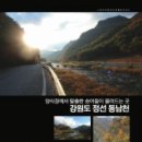 스파이더플라이 이미지