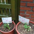 원광어린이집(시립) 이미지