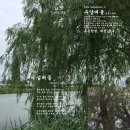 소월(素月) 이미지