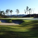 일레븐CC 이미지