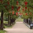 안성맞춤랜드 이미지