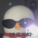 이그니스 이미지