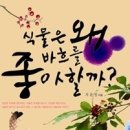 지오북(GEOBOOK)